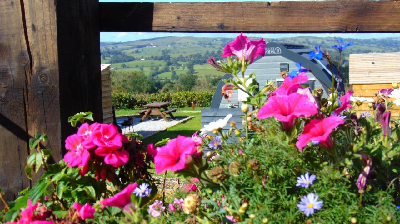 Greendale View Clitheroe Zewnętrze zdjęcie